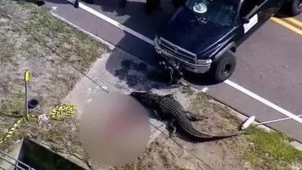 “أمي لم تسخر منه”.. ابنة مشردة التهمها تمساح تروي القصة