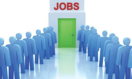 “الاقتصاد” تتوقع 79 ألف فرصة عمل جديدة في الصناعة خلال 6 سنوات