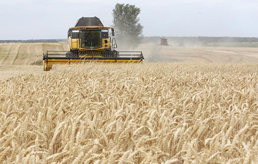 لبنان يطلب كميات إضافية من القمح تحسباً للحرب