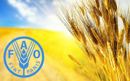 تراجع أسعار الغذاء بنحو 10% في 2023