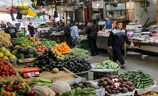 “حماية المستهلك” تطالب بمحاربة تهريب الخضراوات إلى إسرائيل