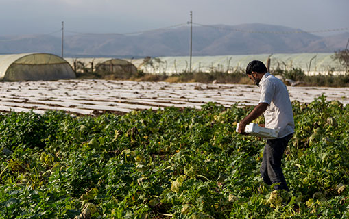 “أريج” ينجز تركيب مستلزمات إنتاج زراعي في شمال الضفة