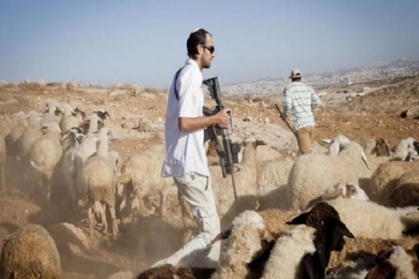 الخليل- الحياة الجديدة- اقتحم مستعمرون، اليوم الجمعة، موقع تل معين…