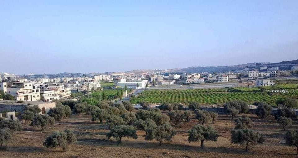 بيت لحم- الحياة الجديدة- زهير طميزة- تتعرض الخضر (5 كم…