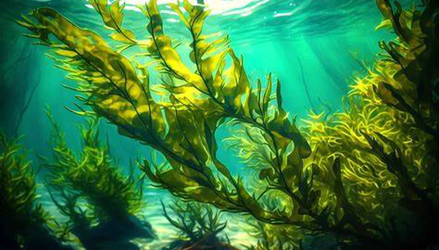 ابتكار مثير… بطاريات من الطحالب البحرية للسيارات