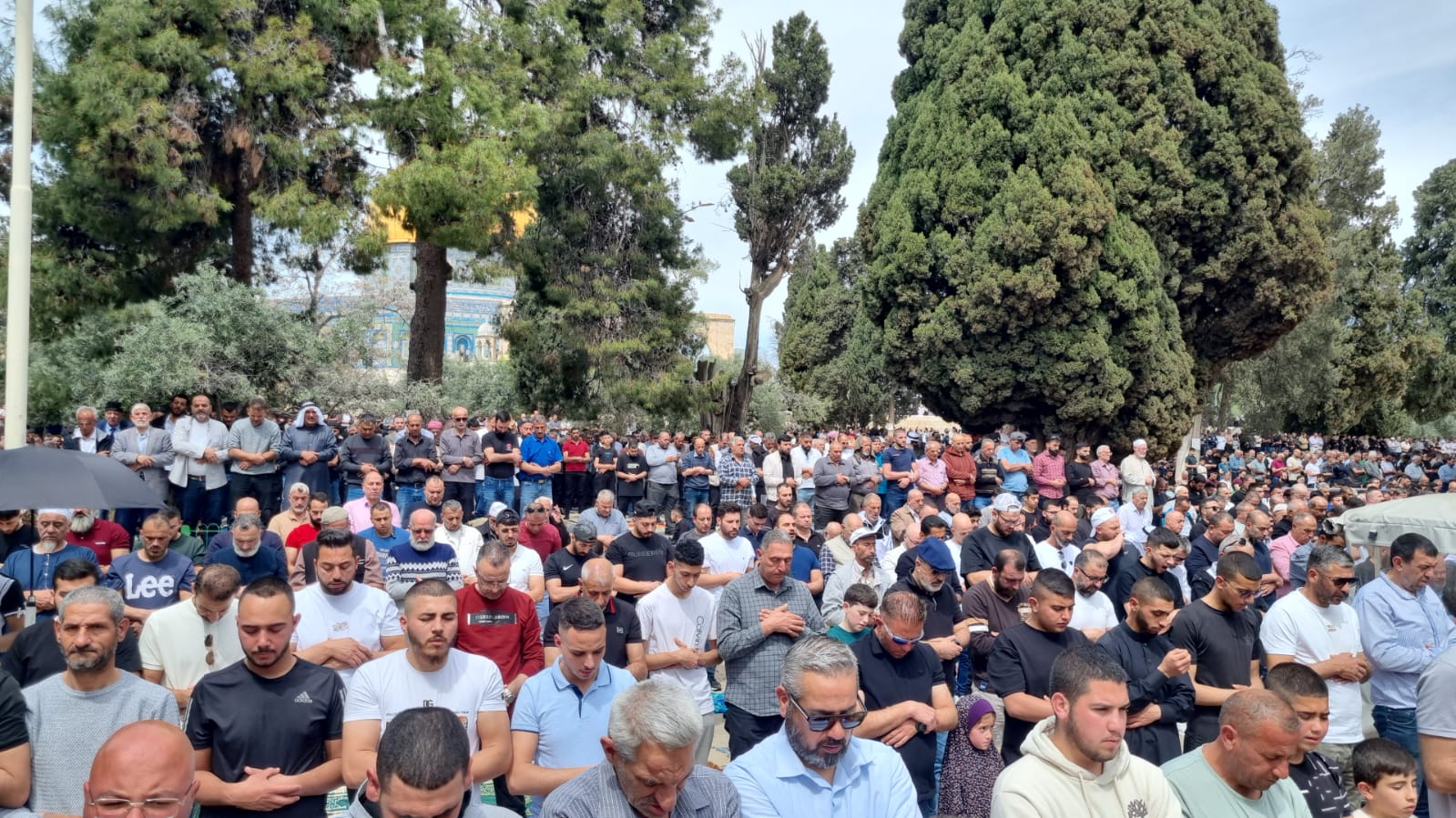 القدس -الحياة الجديدة- ديالا جويحان- أدى الآلاف، صلاة الجمعة الأخيرة، من…