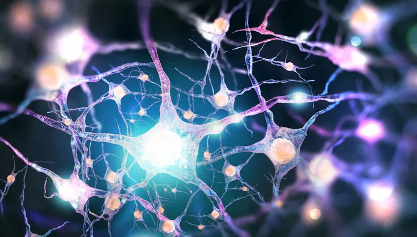 خلايا عصبية اصطناعية تتعلم وتنظّم نفسها ذاتياً