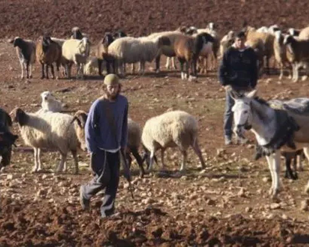 الأغوار-الحياة الجديدة – اقتحم مستعمرون، منتصف الليلة الماضية، التجمع السكاني…