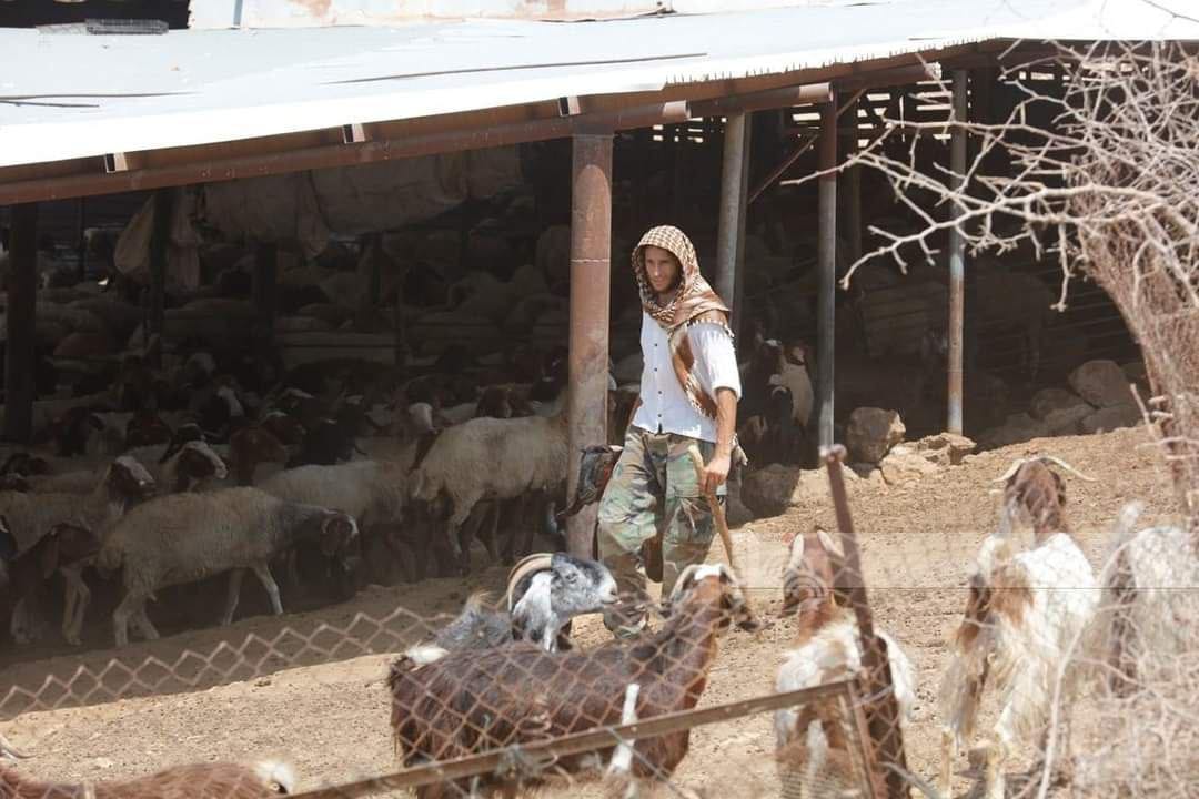 اعتدى مستعمرون، مساء اليوم الثلاثاء، على شاب أثناء رعيه أغناما…