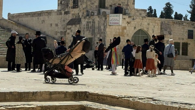 القدس المحتلة – الحياة الجديدة – ديالا جويحان- اقتحم نحو…