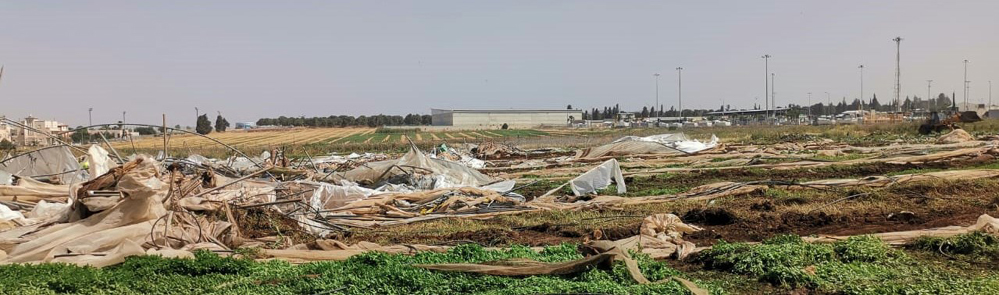 جنين-الحياة الجديدة-عبد الباسط خلف- كان العشريني محمود واصف أبو فرحة،…