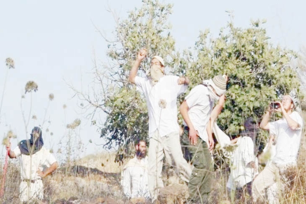 رام الله- وفا- أصيب 8 مواطنين أحدهم بالرصاص، وأُحرقت 3 منشآت…