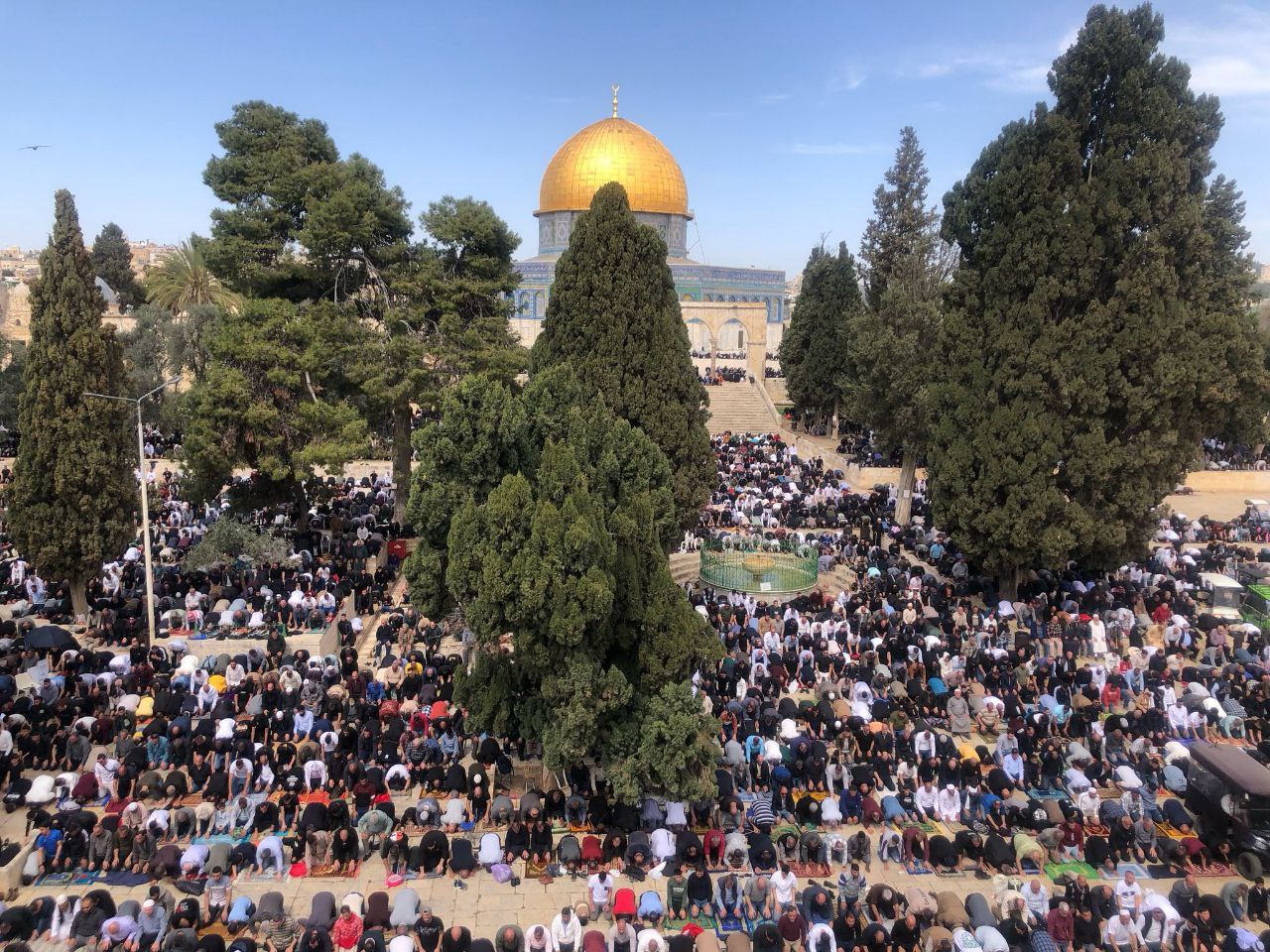 القدس المحتلة- الحياة الجديدة- ديالا جويحان- أدى عشرات الآلاف ،…