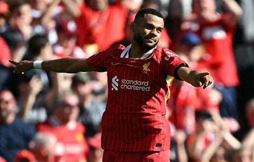 لندن-(أ ف ب) : حسم ليفربول لقب الدوري الإنكليزي لكرة…