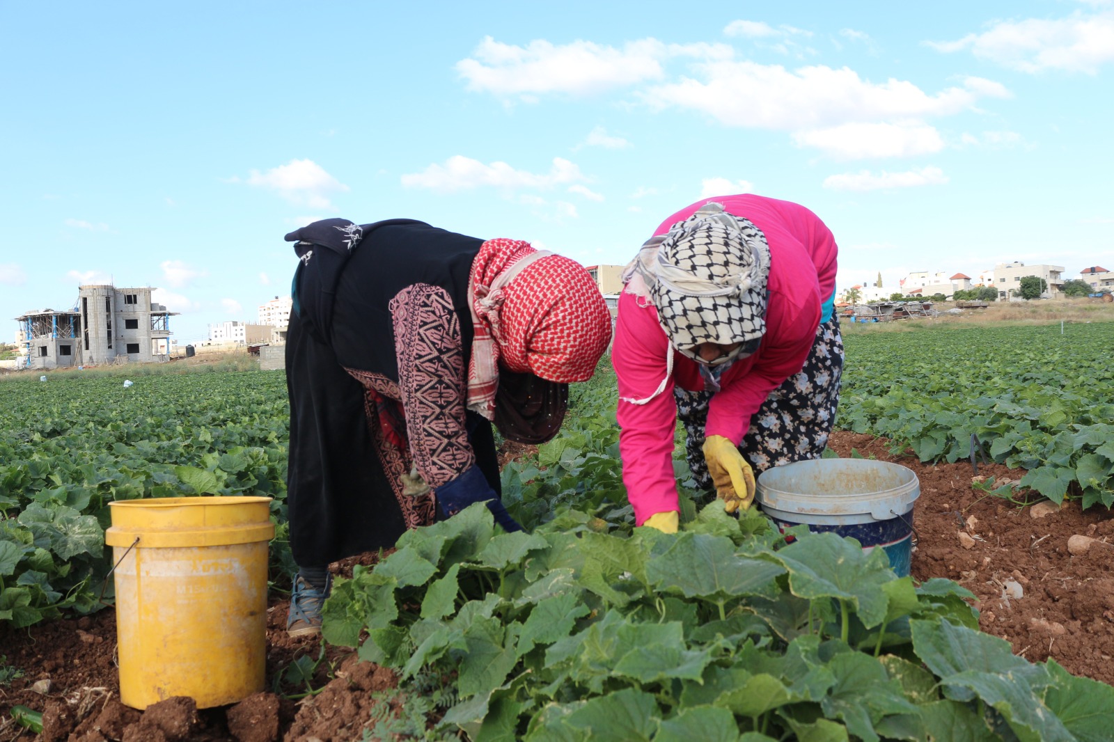 جنين- الحياة الجديدة- عبد الباسط خلف- لم يكن الأربعيني صالح…