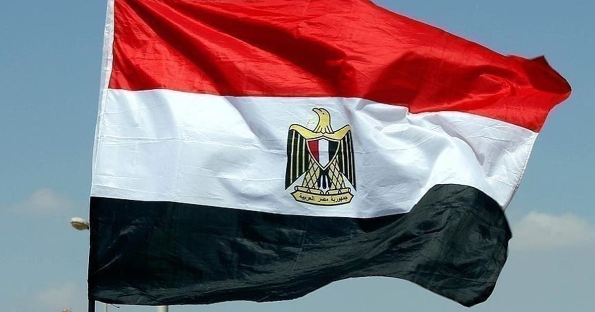 استباقا لمراجعة صندوق النقد الخامسة.. مصر تُسرّع بيع مستشفيات وشركات للخليج