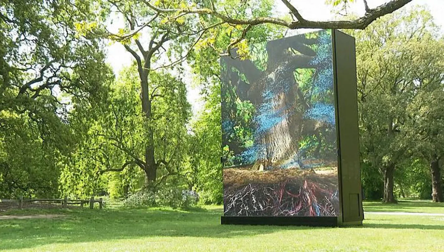 بالفيديو –  شجرة تاريخية في لندن تدخل عصر الفن الرقمي