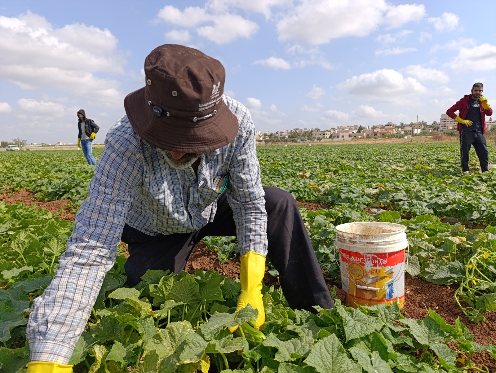 جنين- الحياة الجديدة-عبد الباسط خلف- يسابق فتحي دراغمة وعائلته الشمس،…