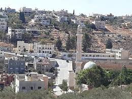 سلفيت – الحياة الجديدة – أقام أهالي بلدة بروقين غرب…