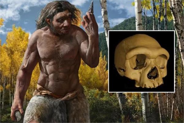 اكتشاف «رجل التنين»| جمجمة غامضة تحير العلماء وتعيد فهم قضية التطور البشري