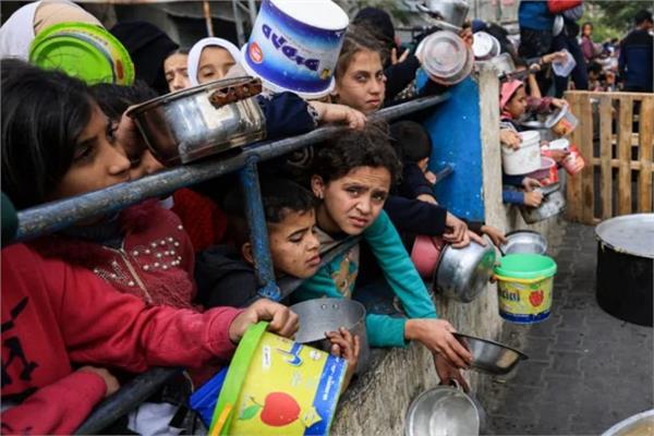 «النرويجي للاجئين»: المدنيون في غزة يواجهون خيارًا مستحيلًا إما الجوع أو القتل بالرصاص