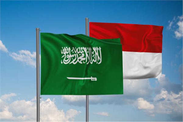 إندونيسيا والسعودية تشددان على ضرورة اتخاذ خطوات ملموسة لإنهاء الأزمة بغزة