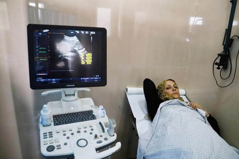 حوامل جائعات في قطاع غزة-الحياة الجديدة