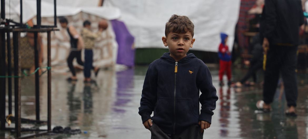 وزارتا الثقافة والتربية تطلقان مبادرة لدعم الأطفال الفلسطينيين المهجّرين في رومانيا-الحياة الجديدة