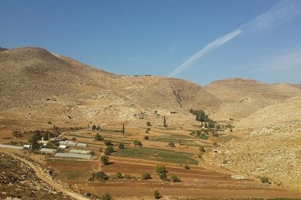 مصلحة وسلطة المياه تحذران من تبعات هجمات المستوطنين على “عين سامية”-الحياة الجديدة