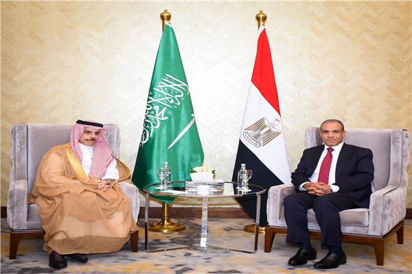 وزير الخارجية: العلاقات المصرية السعودية متينة ونرفض أى محاولات للمساس بها