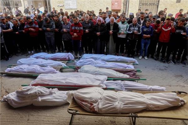 غزة.. 81 شهيدًا اليوم بنيران الاحتلال بينهم 31 أثناء انتظار المساعدات