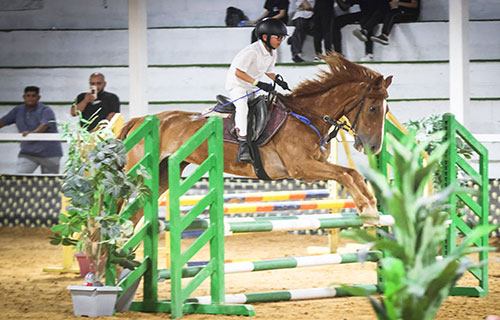 أربعة فرسان يمثلون فلسطين في بطولة كأس آسيا لقفز الحواجز لفئة الناشئين