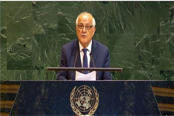 مندوب فلسطين بالأمم المتحدة: إسرائيل تذبح أهل غزة وعلى العلم التحرك فورا لمنع فظائعها