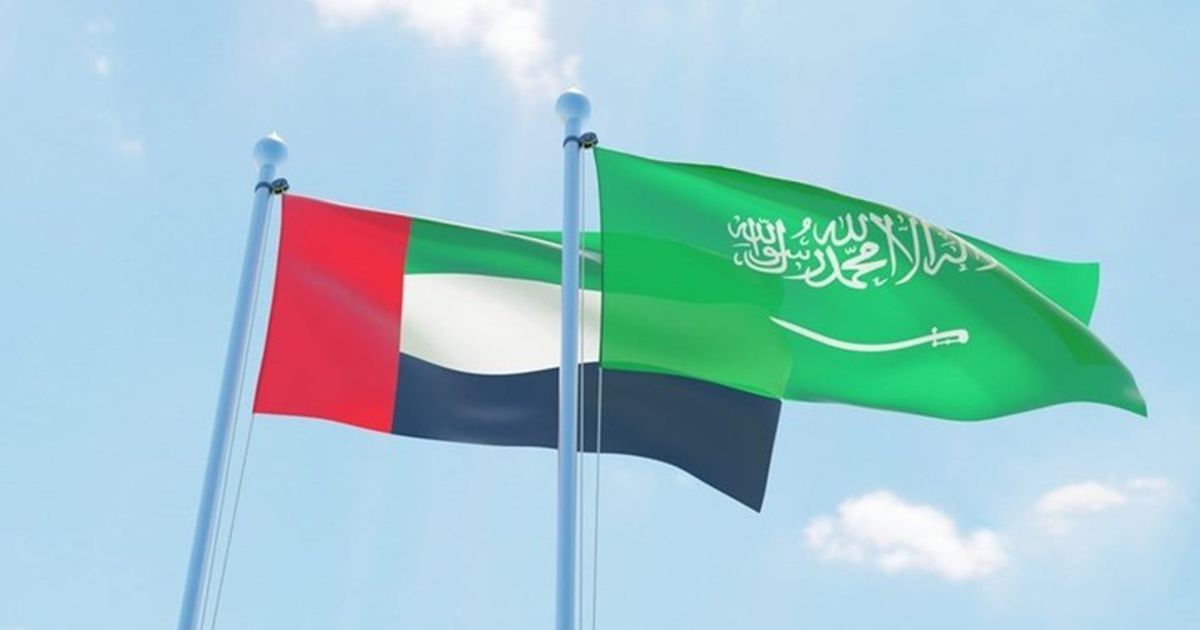 شركة إماراتية تستحوذ على حصة كبيرة من “سينومي” السعودية – عربي21