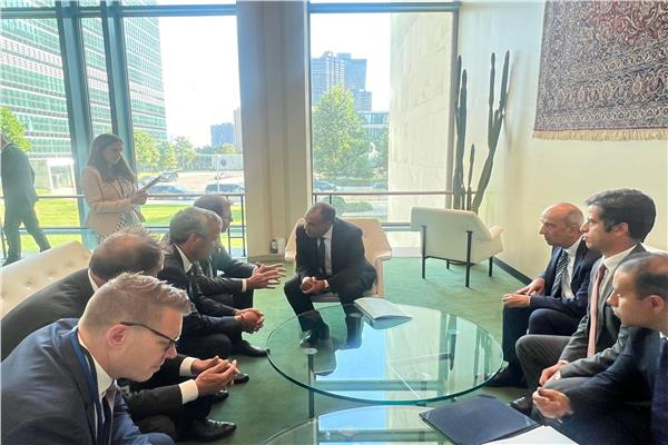 وزير الخارجية يؤكد على ضرورة تضافر الجهود الدولية لحقن دماء الشعب الفلسطيني