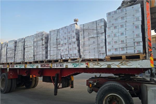 بالتنسيق مع مصر.. 900 طن من المساعدات الإماراتية في طريقها لغزة
