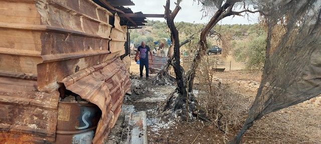 مستعمرون يحرقون ممتلكات مواطن ويطردونه بالقوة غرب سلفيت-الحياة الجديدة