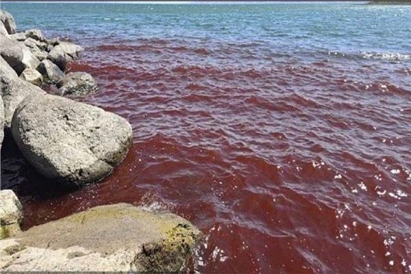 بحر الجليل يتحول إلى اللون الأحمر.. بين الأسطورة والواقع العلمي
