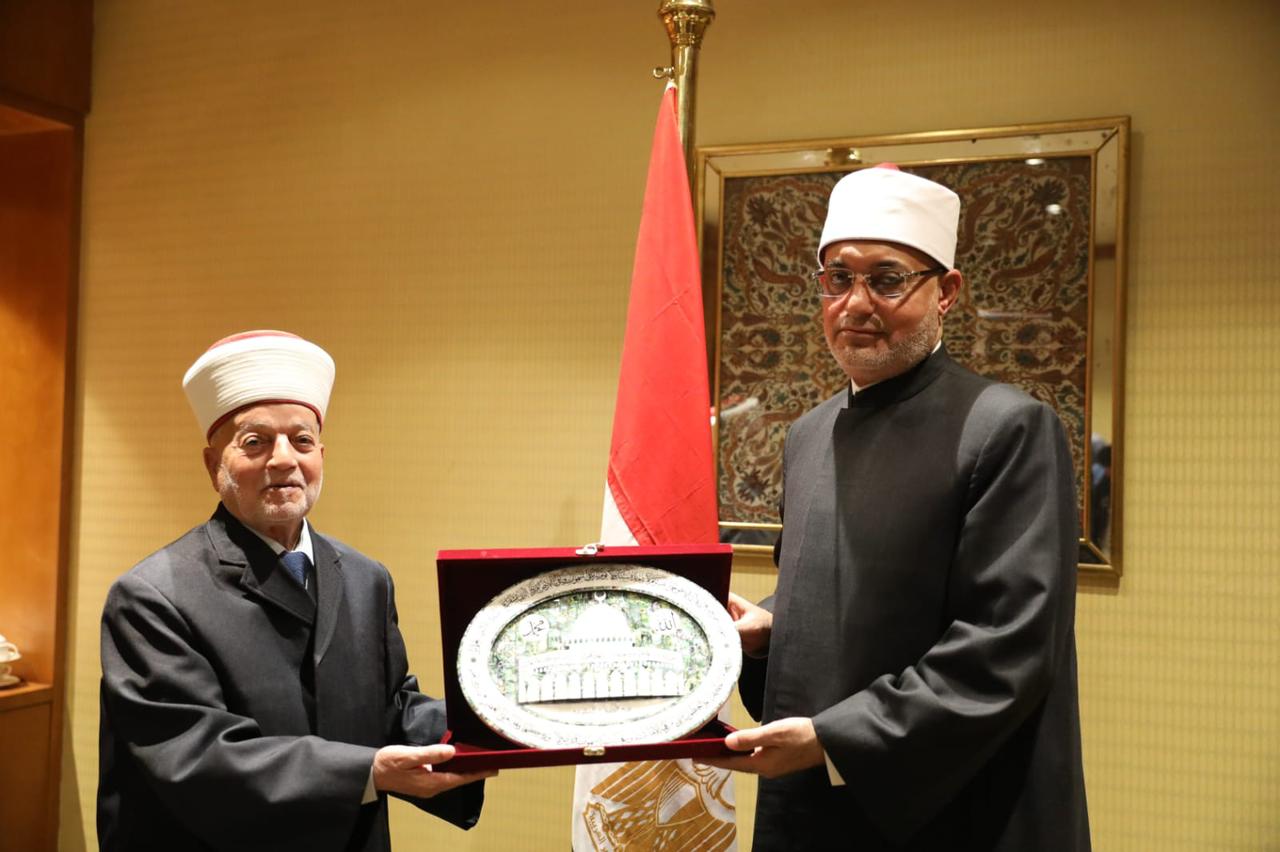 مصر هي الظهير المكين لقضايا الأمة العربية-الحياة الجديدة