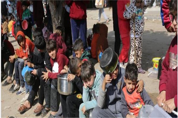 «الأغذية العالمي»: نصف مليون فلسطيني في غزة على حافة المجاعة