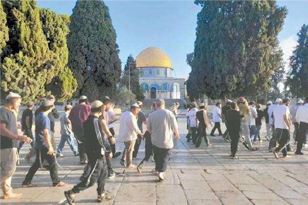 مستوطنون يقتحمون باحات «الأقصى» بحماية شرطة الاحتلال الإسرائيلي