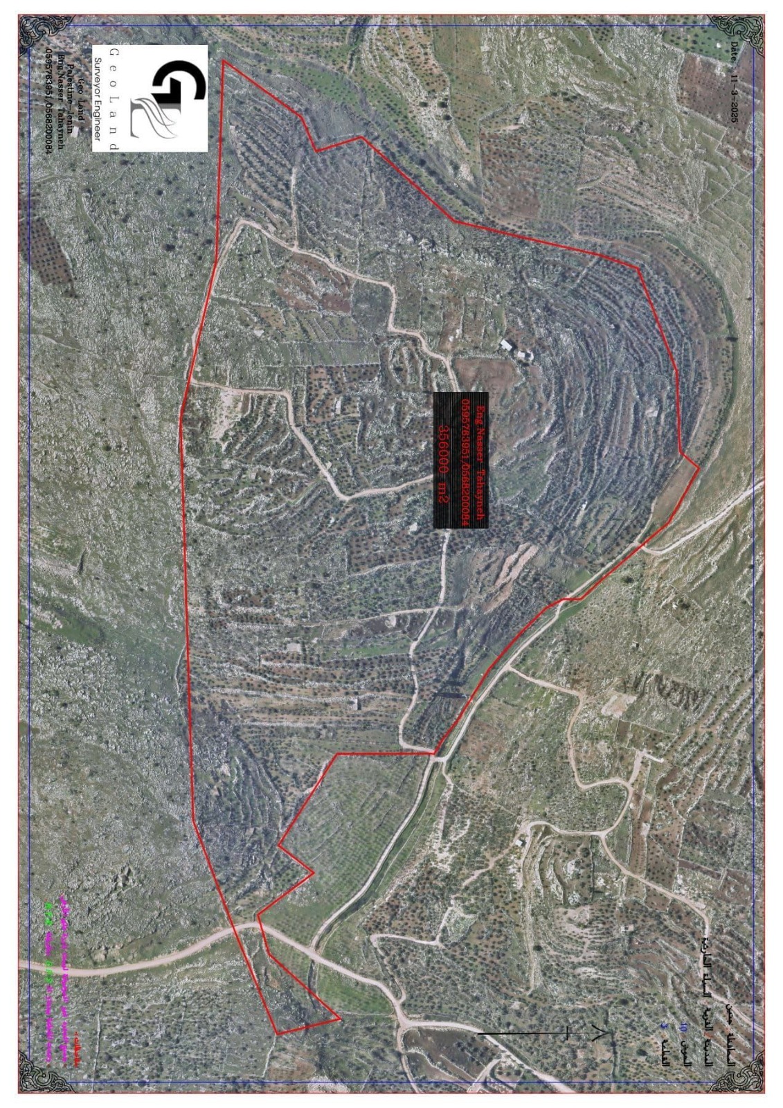 كروم سيلة الحارثية فوق صفيح المصادرة-الحياة الجديدة