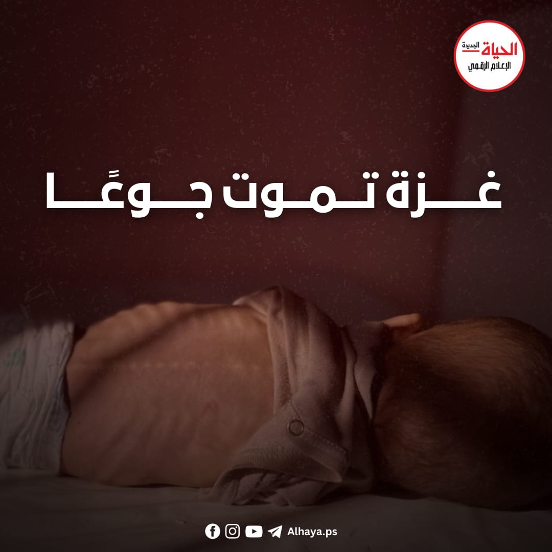 الأمم المتحدة تؤكد حدوث المجاعة في محافظة غزة-الحياة الجديدة