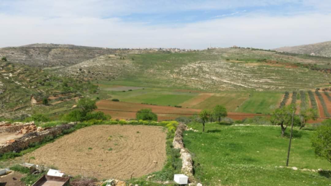 قريوت.. في مواجهة حرب الاستيطان الممنهجة-الحياة الجديدة