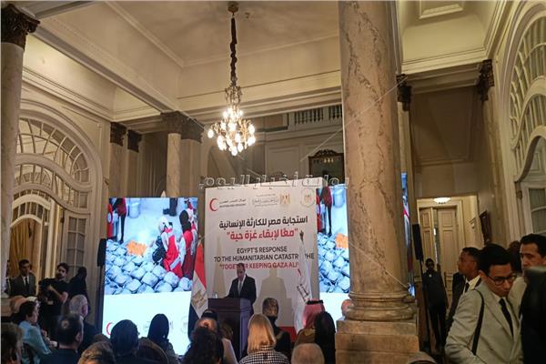 وزير الخارجية: 70% من المساعدات الإنسانية التي دخلت لغزة مصرية