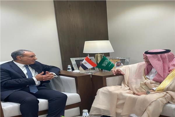وزير الخارجية يدعو للتوسع في الاستثمارات السعودية المباشرة بمصر