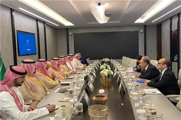 وزير الخارجية ووزير الصناعة السعودي يؤكدان على أهمية تكثيف التعاون الثنائي