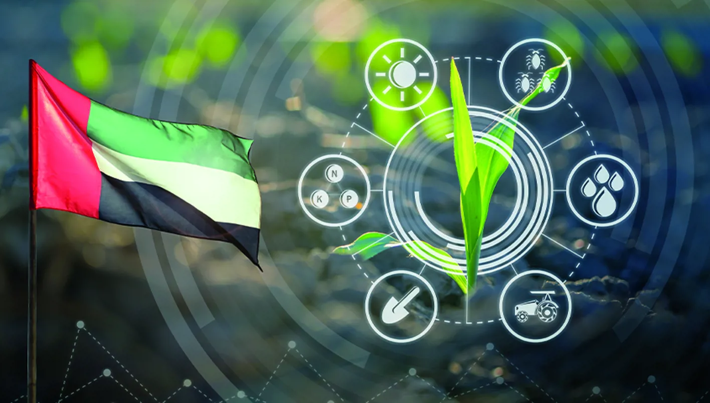 الإمارات تسجّل إنجازاً علمياً في مجال البطاريّات الخضراء والطاقة النّظيفة