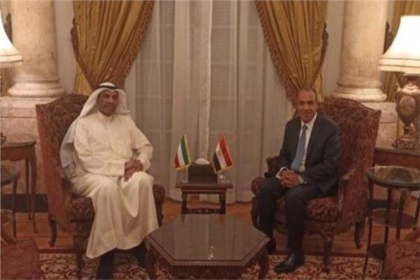 وزير الخارجية يؤكد أهمية التنسيق المصري – الخليجي لمواجهة التدخلات الخارجية