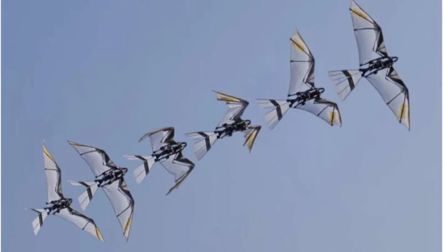 روبوت طائر يحاكي حركة الطيور يحقق إقلاعاً ذاتياً